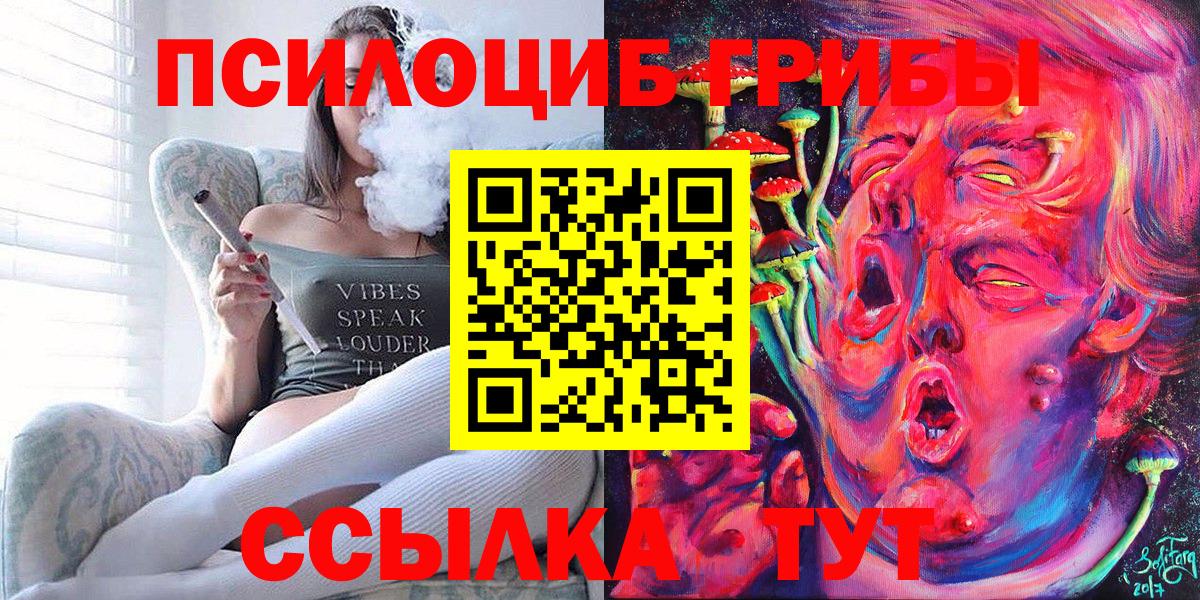 Омск  Псилоцибиновые грибы мицелий  Вход с VPN 
